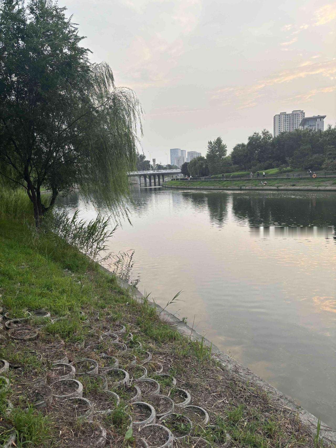 把生活过成诗，不随波逐流，只忠于内心的热爱与自在。
清淡日常，步步生花，让欢喜填
