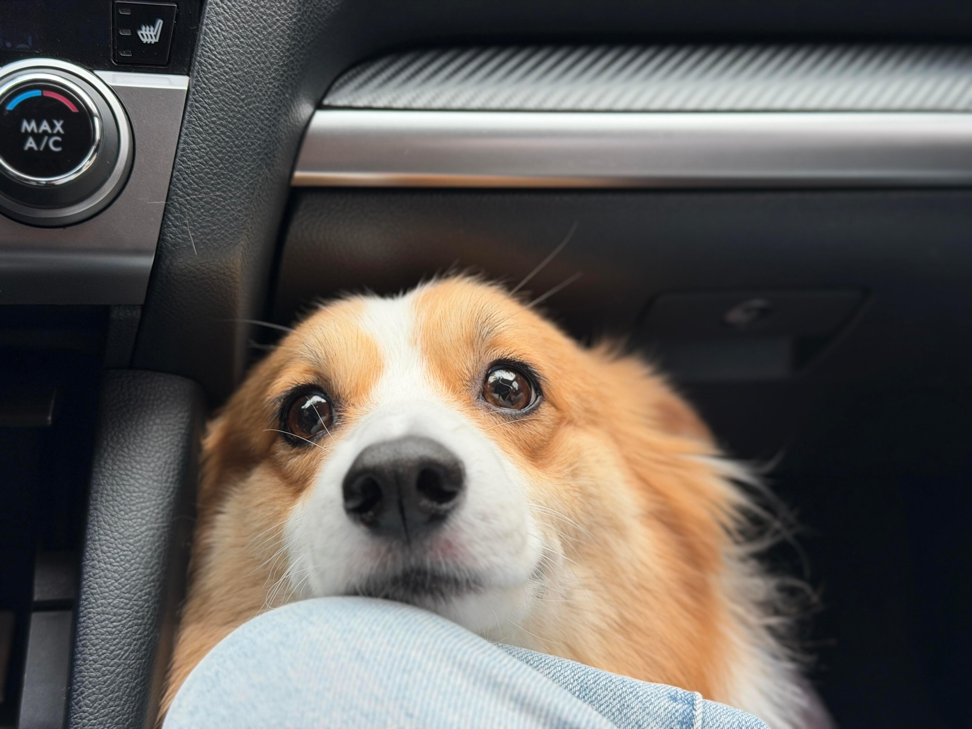 爱一个人的眼神是藏不住的 