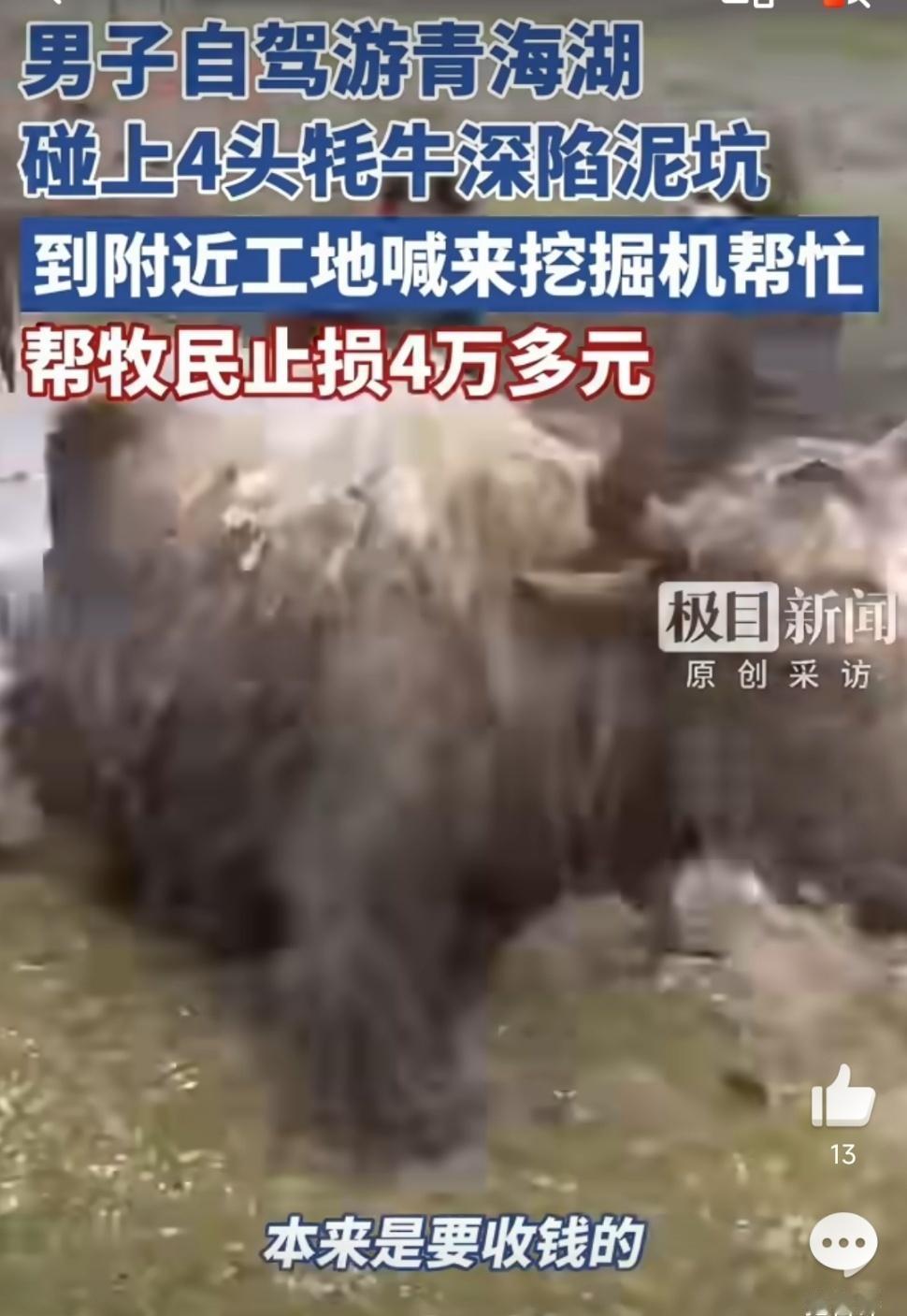 。没有身份之分，没有利益考量，只凭“想帮一把”的本能。这让人想起318国道上挖机