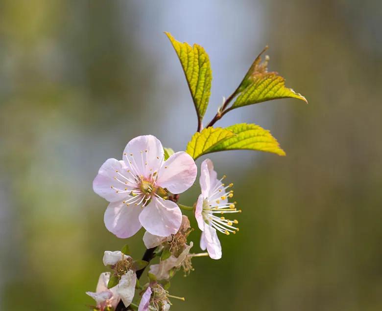 疫情前后国内92号汽油油价变化（2019–2026）
2019：6.45元/升