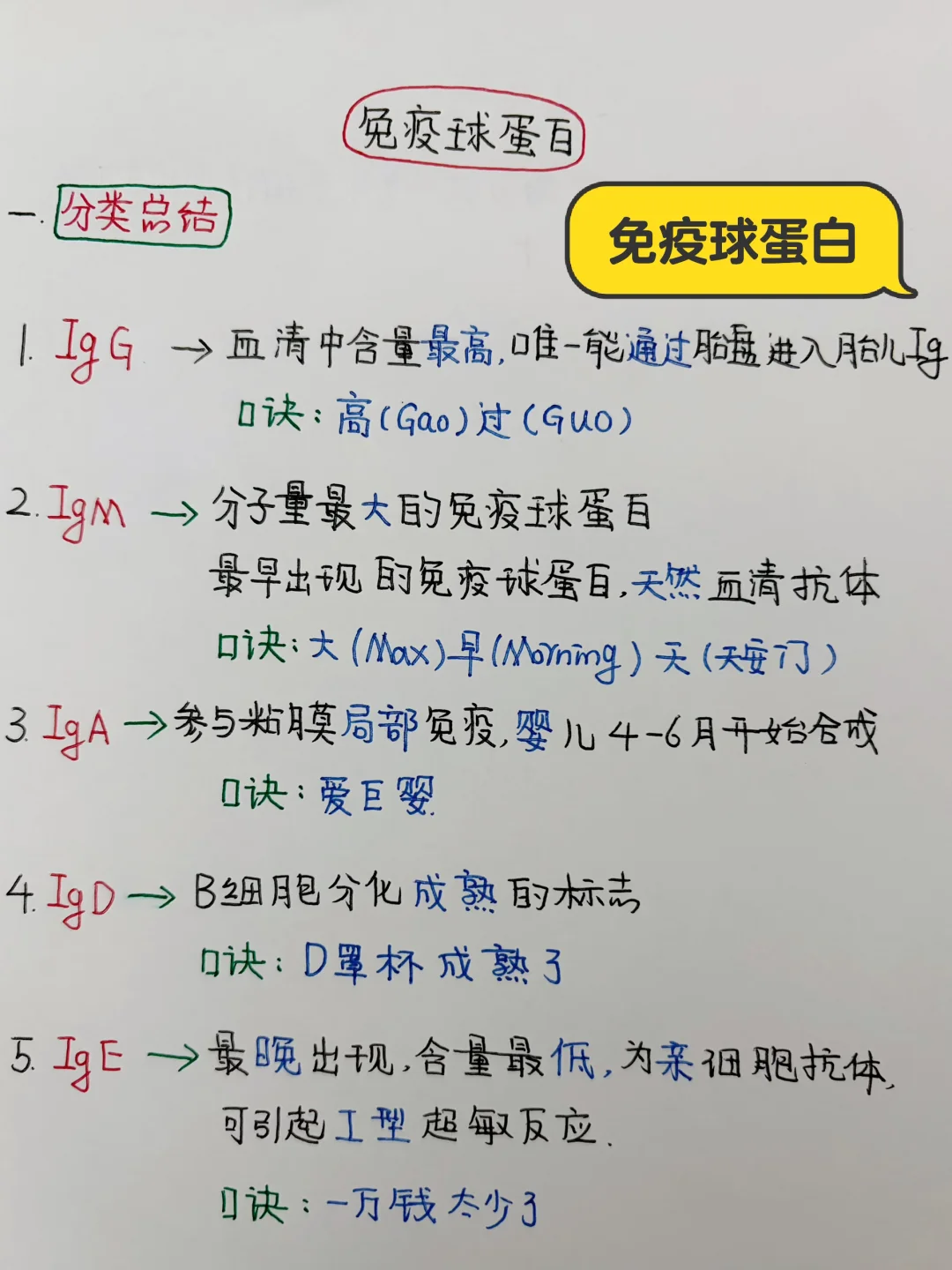 今日学习打卡——免疫球蛋白