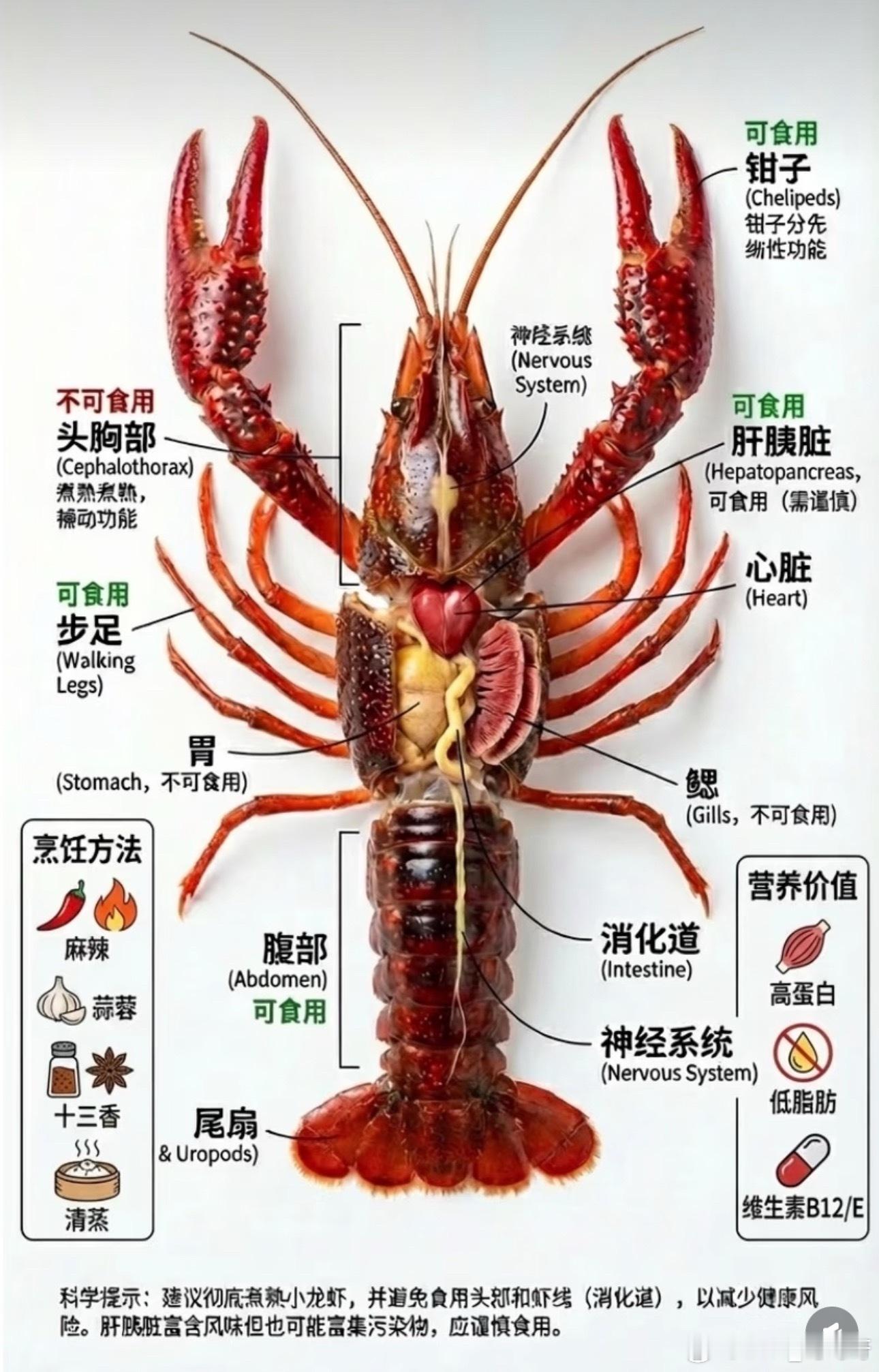 孕妈吃2斤小龙虾感染紧急剖宫产危险的不一定是小龙虾本身，而是预制熟食的储存、加热