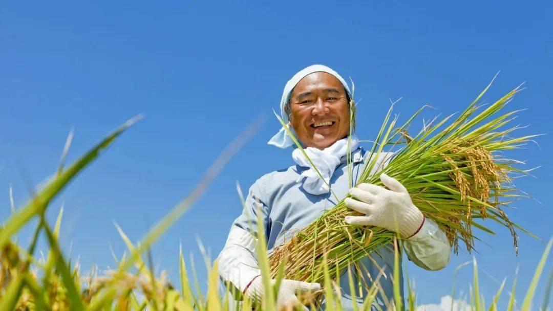 日本只剩下6500万亩耕地，如今粮食总产量如何？不怕吃不饱吗？
 
作为一个高度