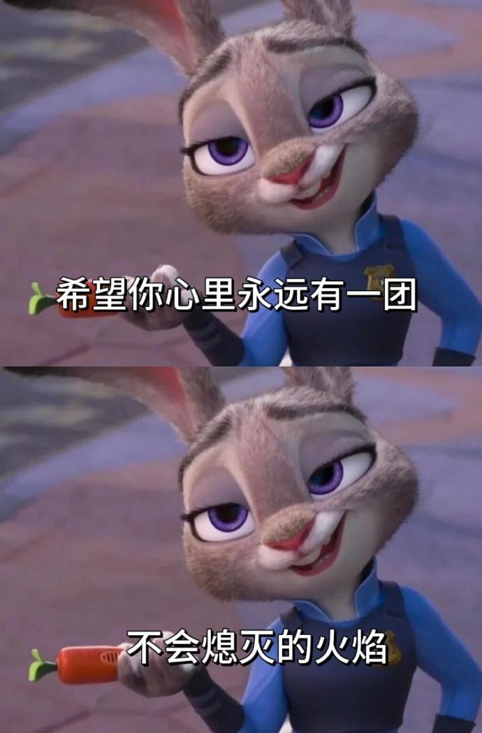 “大胆往前走 你终将万丈光芒” 