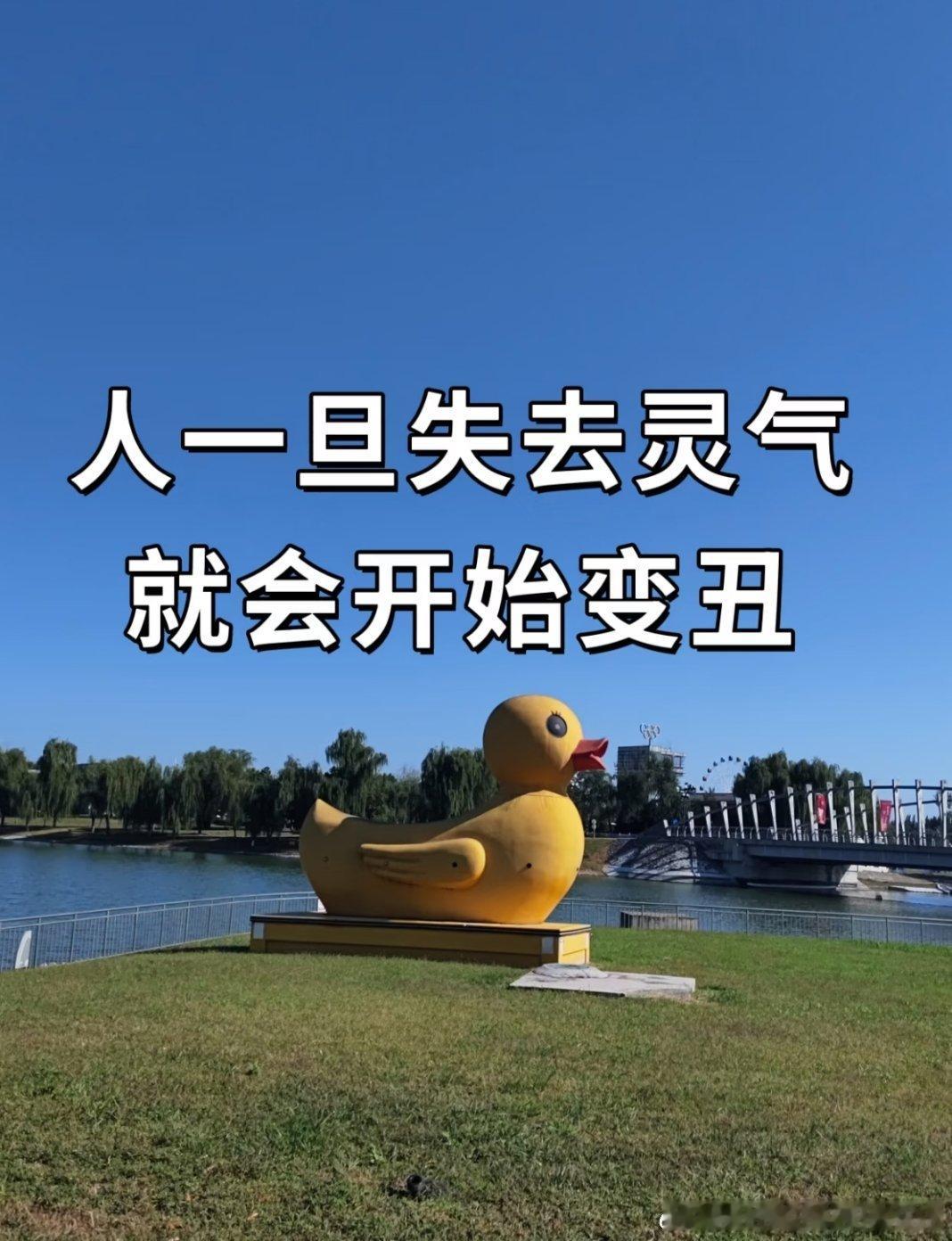 终于知道突然变丑的原因了很多时候容貌的垮掉，不完全是岁月带来的衰老。眼神黯淡、神