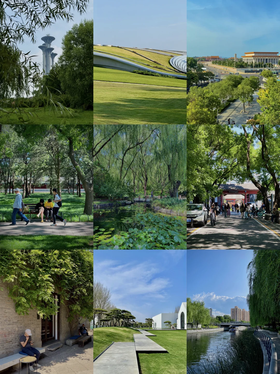 我好像有点喜欢北京的夏天了🍃