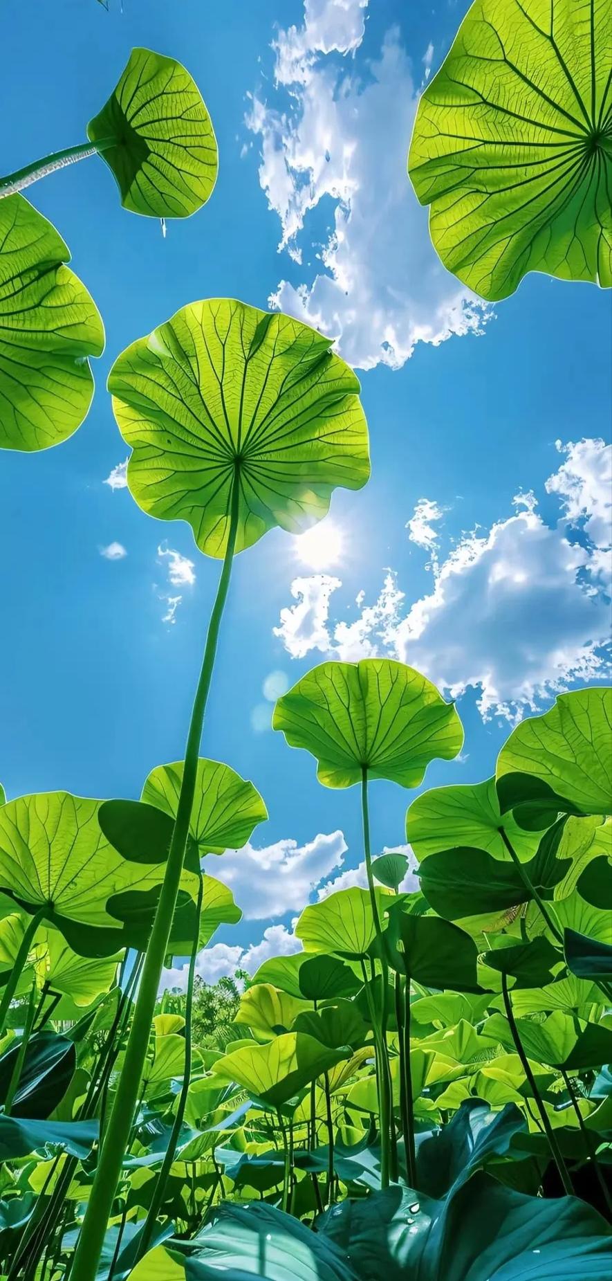 天天待空调房居然暗藏健康隐患？这几个小习惯赶紧改
夏日长期待在密闭空调房易出现健