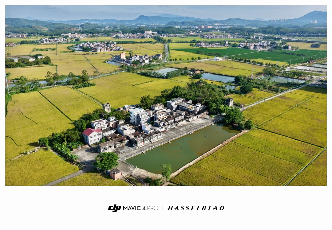稻田与岭南古村