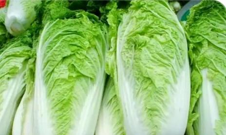 2024年夏天韩国那天气跟闹着玩似的，田园里的大白菜收成惨不忍睹。没办法，只能从