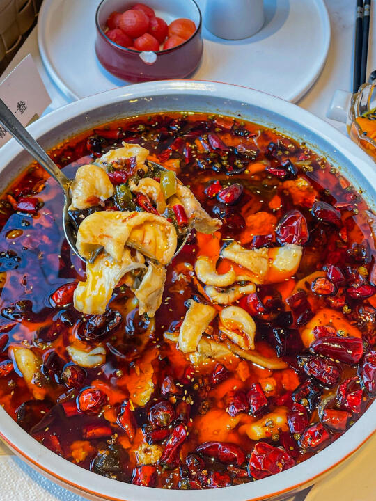 wok…福州还有这么精致的川菜！！