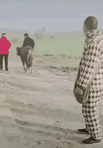 通人性的
