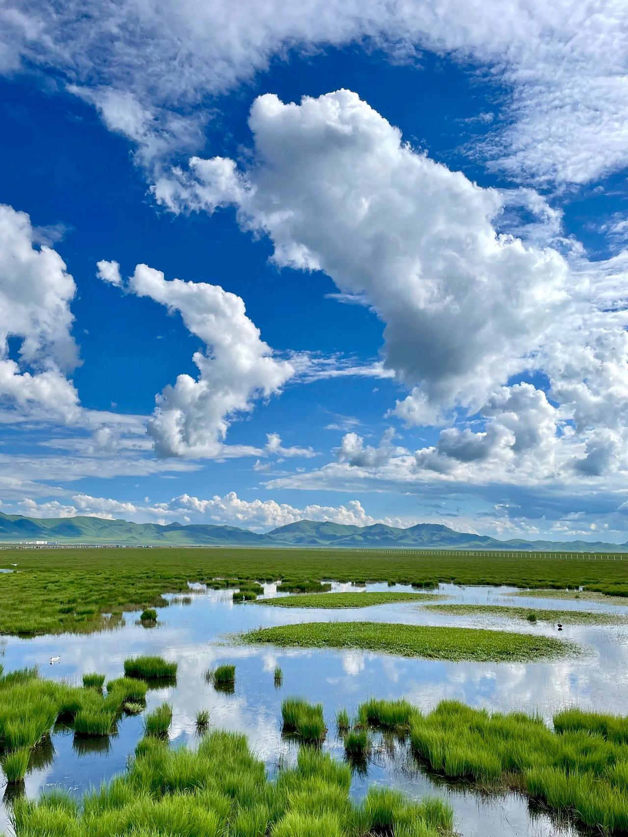 花湖生态旅游区，3种光影5种蓝，连牛羊都在发呆的“神仙”地方！
刚从花湖回来，手
