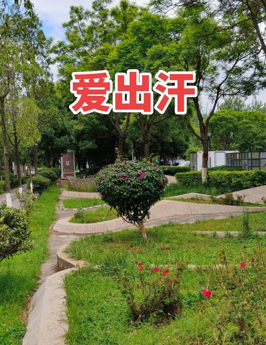 斯诺克世锦赛1/4决赛刚结束—吴宜泽13-8赢了瓦菲，直接闯进四强！之前8强选手