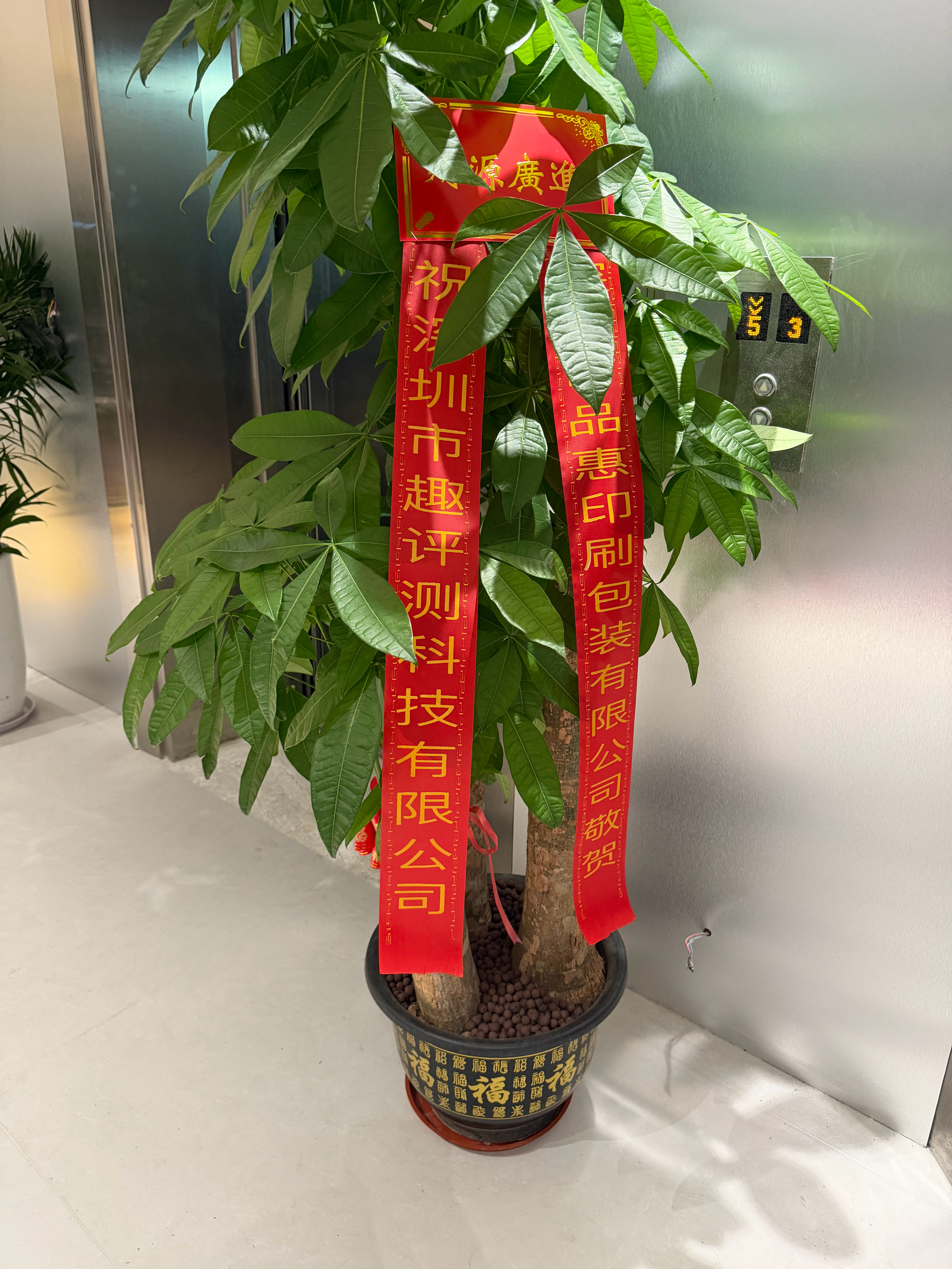 告别租房 趣评测喜提新楼 乔迁大吉 事业蒸蒸日上 深圳·东都国际名车展览中心