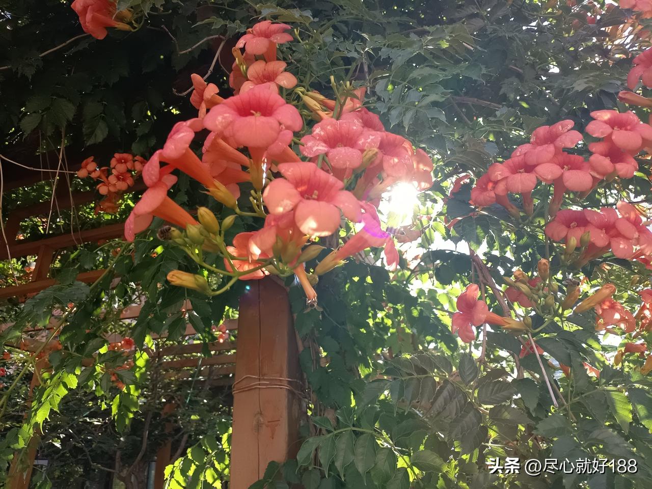 妈妈现在吃饭少，还得休息几次，才能完成一顿饭，和以前差太多了。

妈妈体重偏胖，