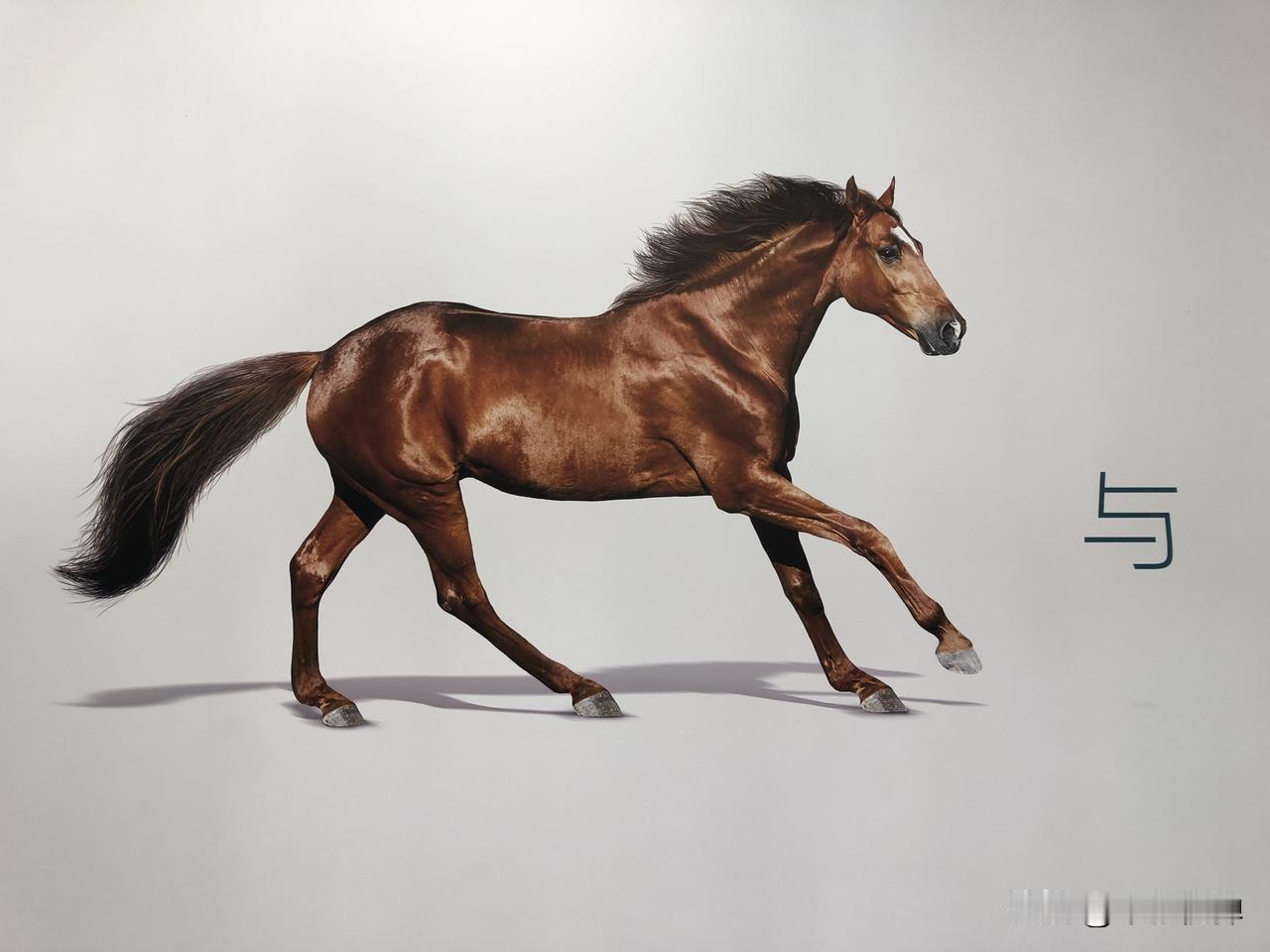 现在如果有谁跟你说让你去东南亚那些垃圾国家旅游，这个人一定是会下地狱的。可能现在