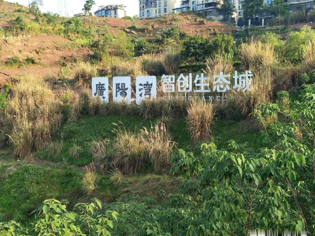广阳岛这事，真有点尴尬。
生态是做回来了，可一转头再看，还是像个“建了一半的样板