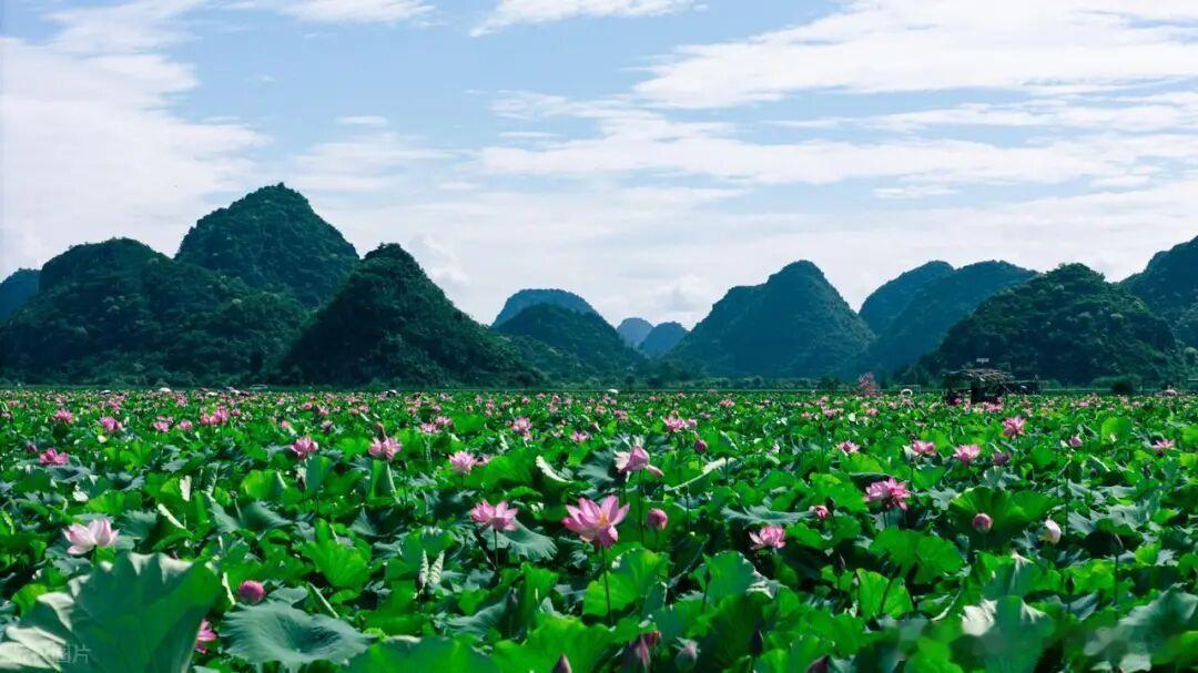 夏天就该奔赴青山绿水，避开燥热躲进自然里，整理 8 个超适合避暑散心的宝藏地，端