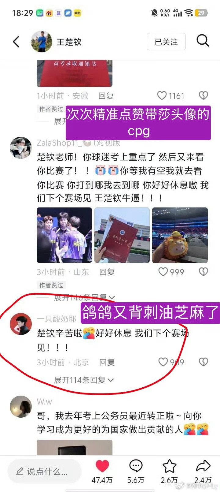 丹麦王子来着