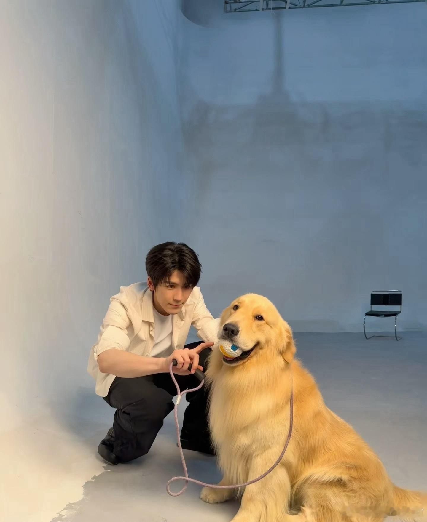张凌赫片场训狗张凌赫片场逗狗张凌赫片场逗狗把狗逗累了张凌赫