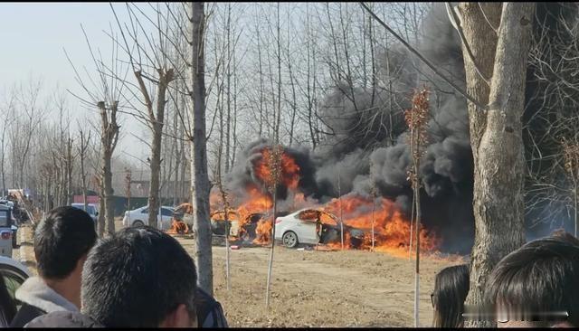 2月12日，山东一景区发生火灾 多辆车被烧毁，后续详情来了，

昨天下午，大年初