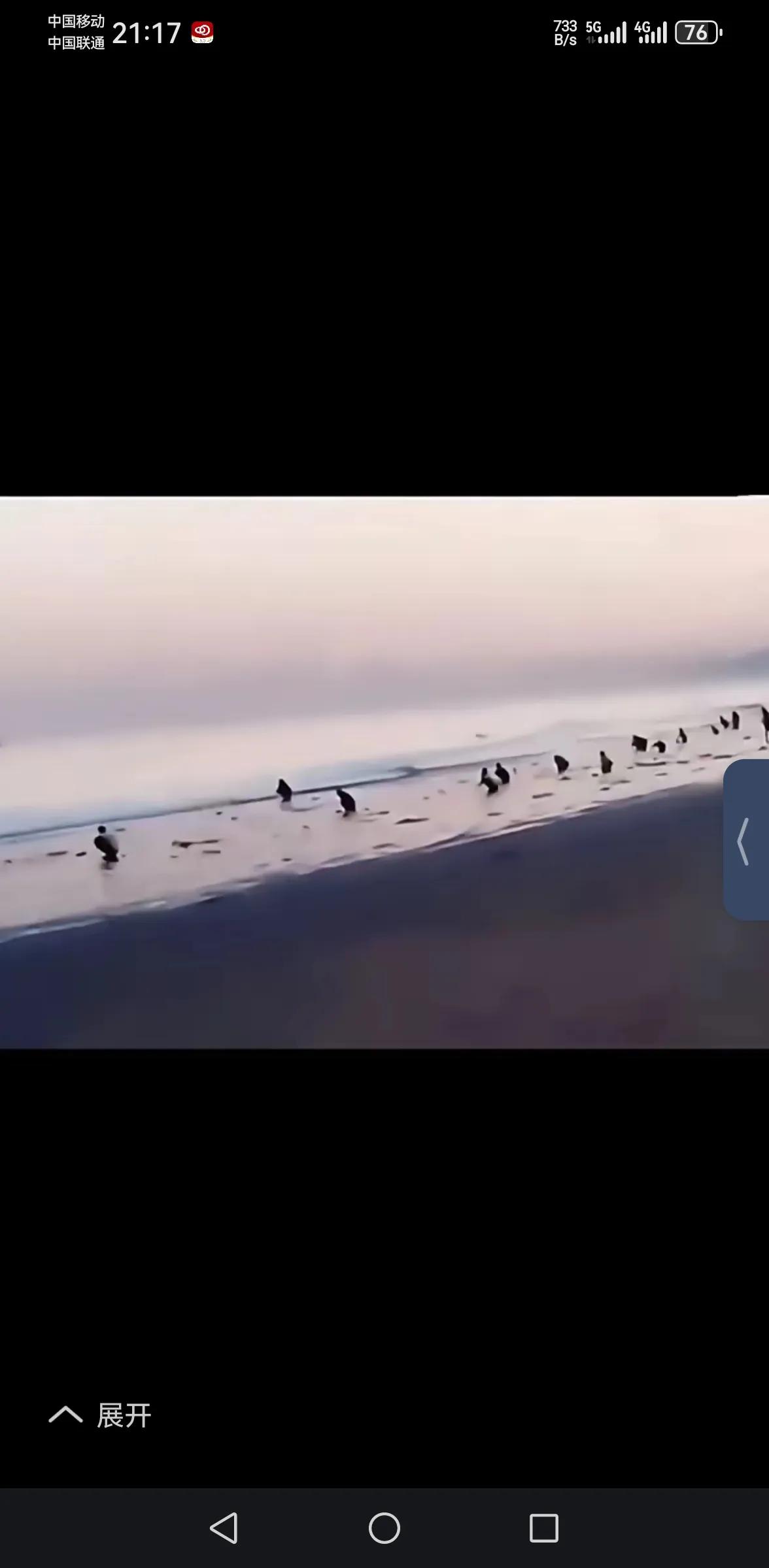 远观成群海鸟海边觅食，
近看阿三在枫叶国拉屎。
三哥绝佳习惯代代相传，
遍地茅厕