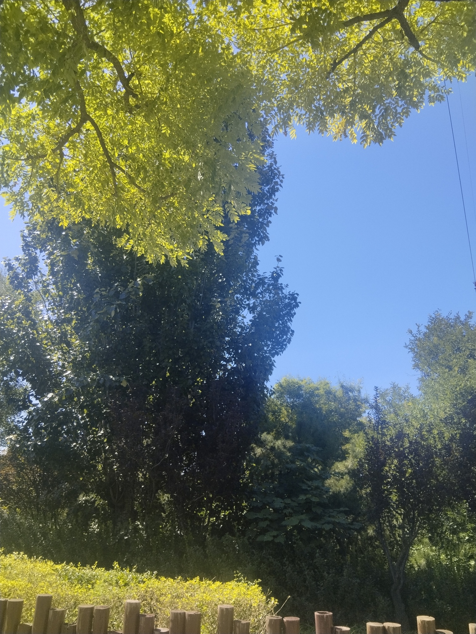 墙里墙外。 花朵盛开在墙里墙外，英雄不问出处……追风景的人 这就是中国风 城市记