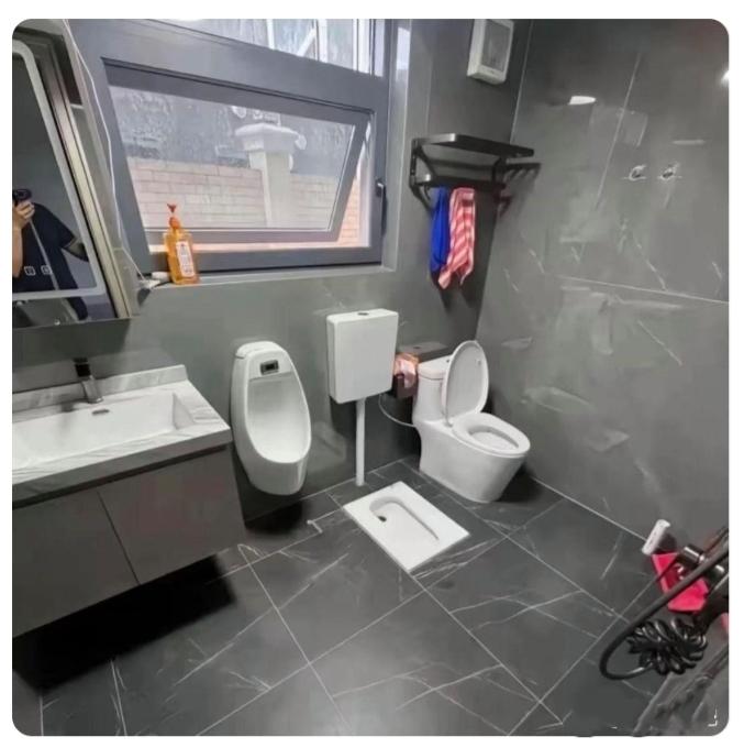 考虑得真周全：洗蹲站坐冲，各取所需。男女老幼一条龙服务。麻雀虽小，五脏俱全。可以