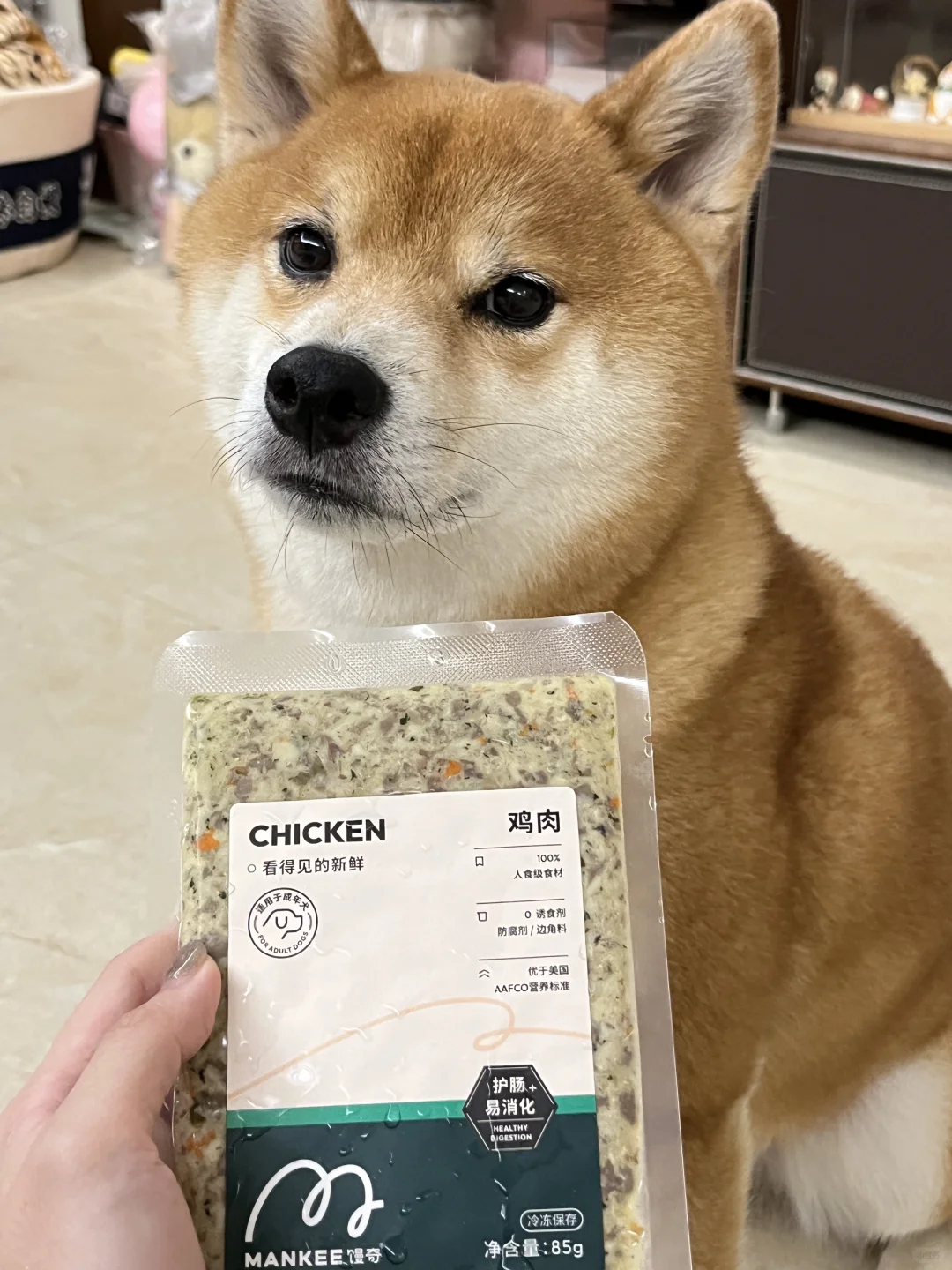 秋日给小狗贴秋膘之拿捏挑食小狗！！