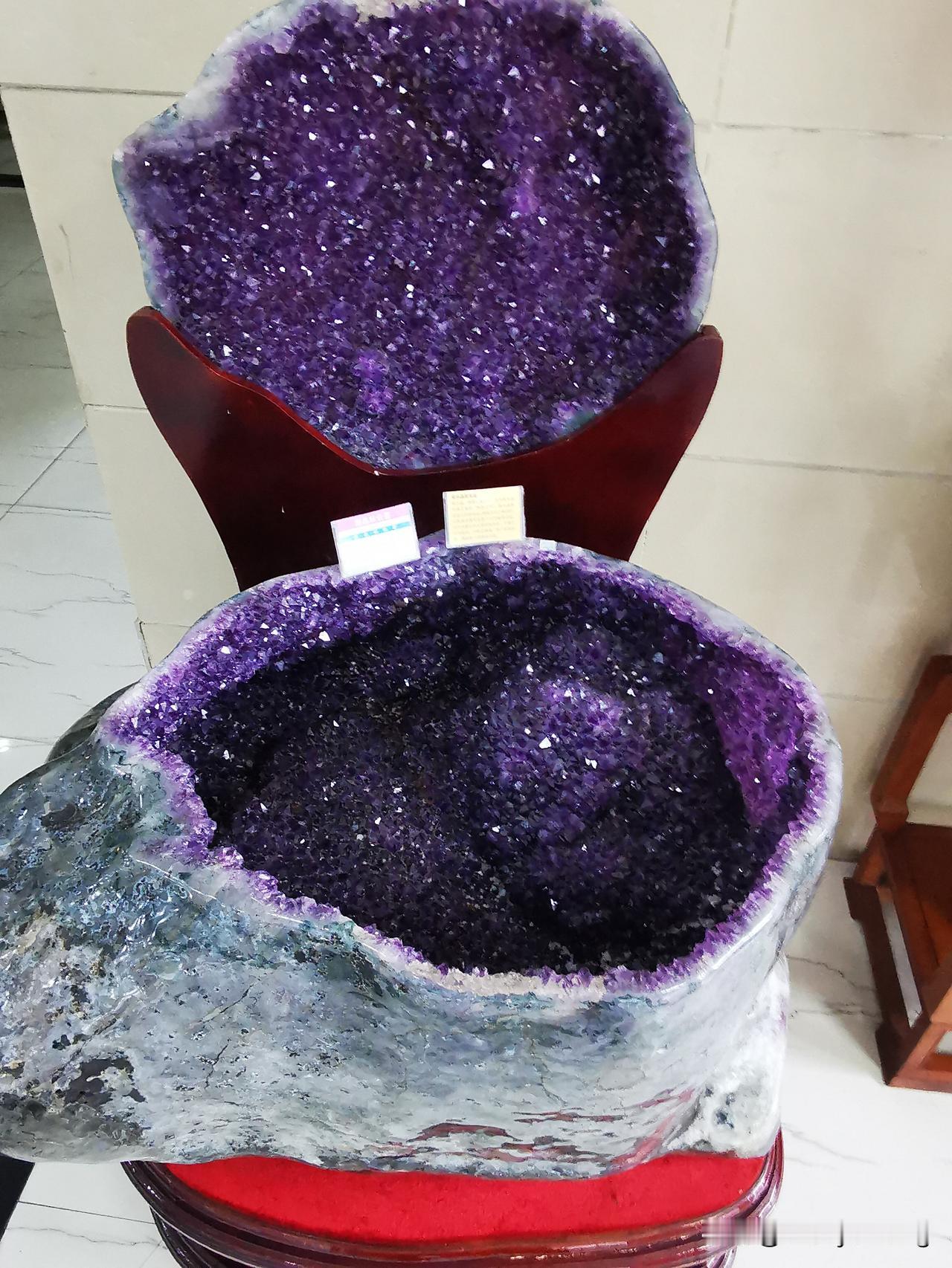 分享一张最近随手拍的照片祝愿你新的一年心想事成！财富自由！