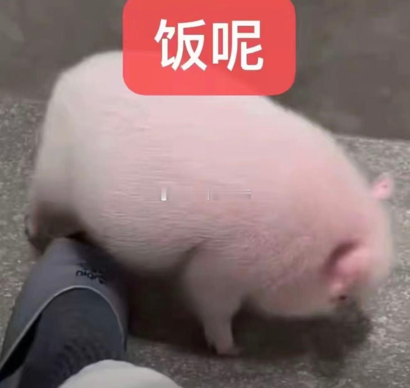不知道你们吃没吃最近ow网恋奔现的🍉锐评：ow进入大减肥时代。网恋一个月不开摄