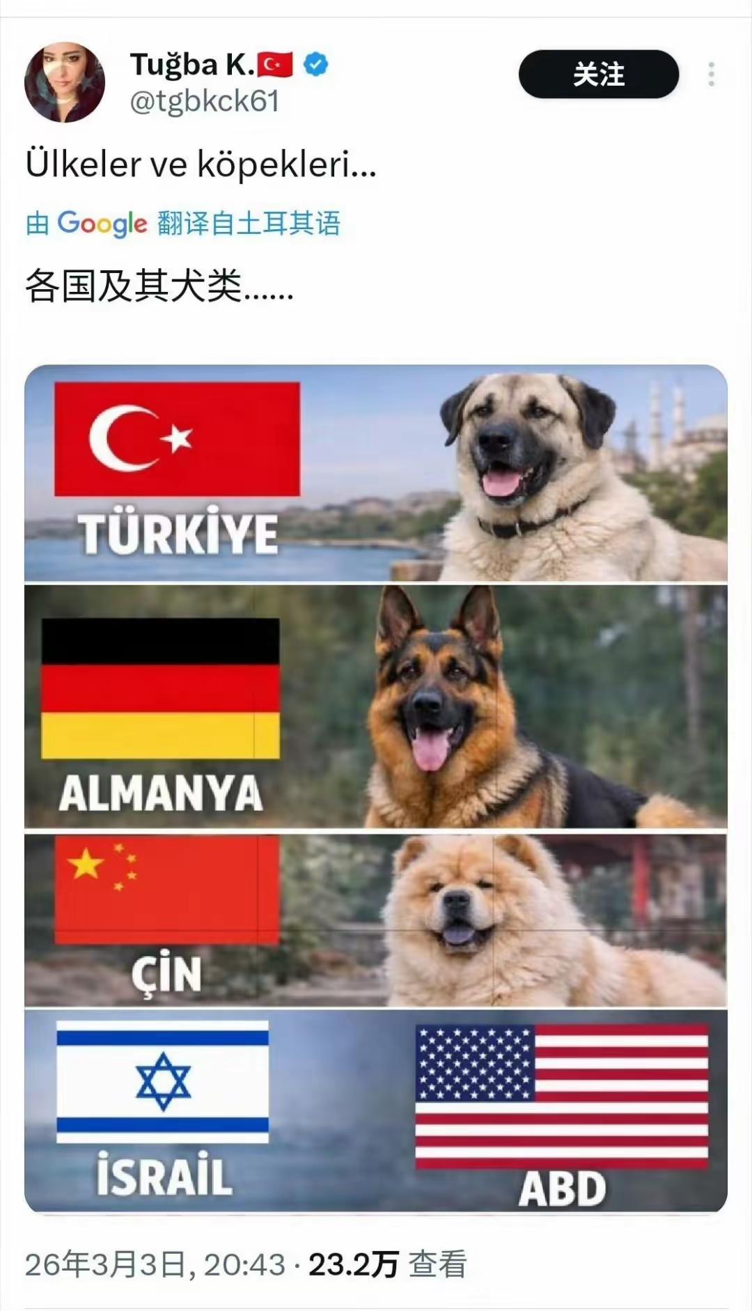 杀人诛心，让懂王情何以堪。