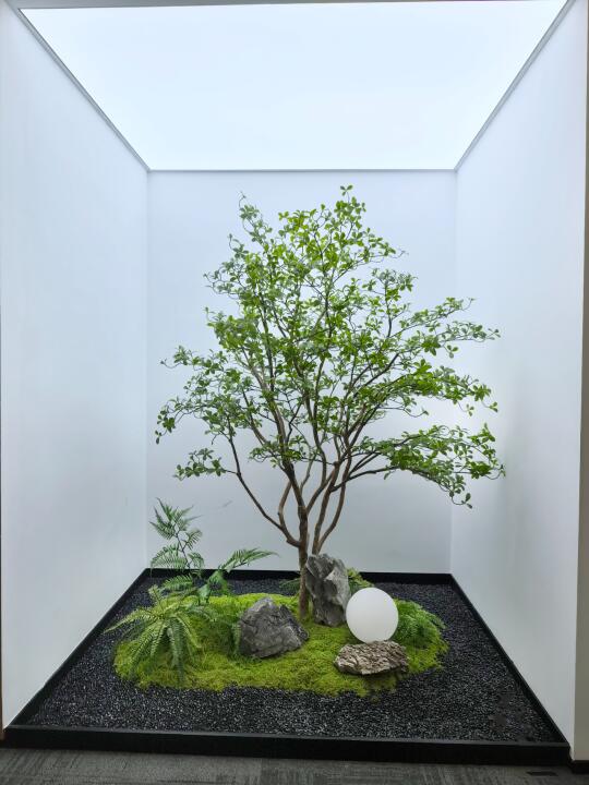 告别枯黄！365天常青室内绿植景观。