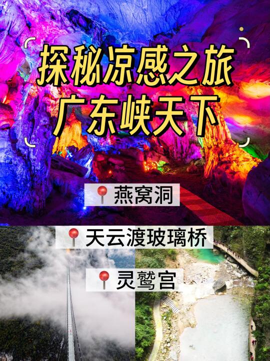 为什么燕窝洞永远18℃?崖壁上的植物会“制冷” 🌿天然空调运作手册 ...