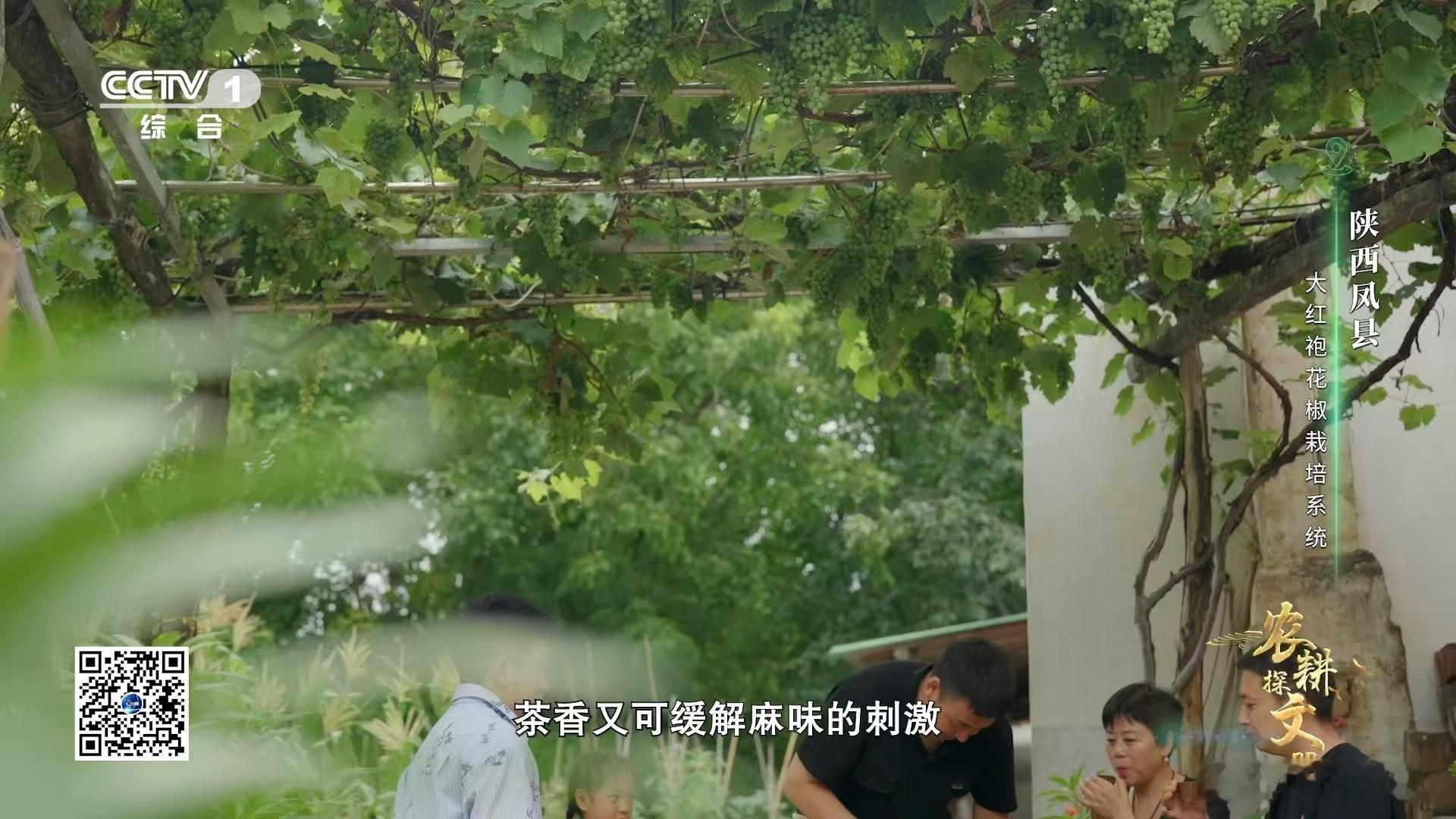 凤椒罐罐茶的制作过程充满仪式感 ，每一个环节都很用心。加入面果、腊肉丁等配料后，