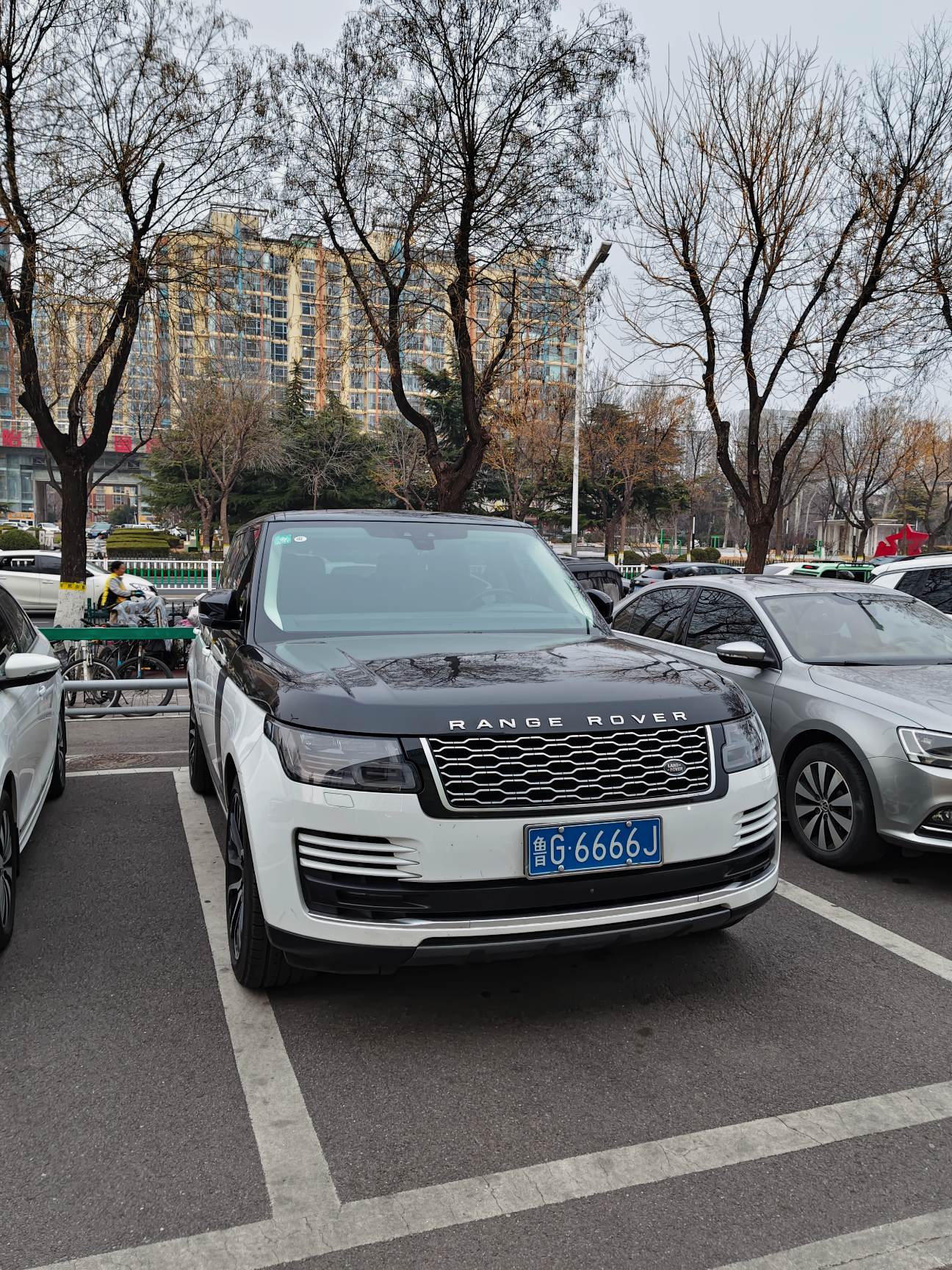 家住潍坊大马路，擅长活人变大树