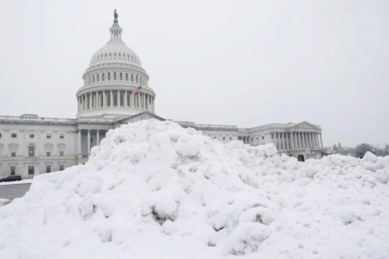 华盛顿地区这个周末可能将迎来该地区历史上的最大降雪，今晨去超市逛了一圈，所有的牛