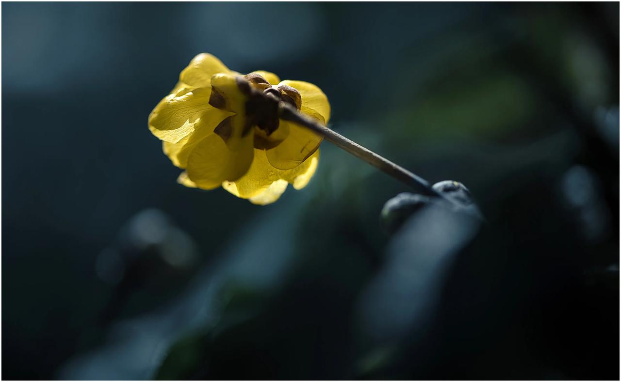 只发一张吗？太少了吧？