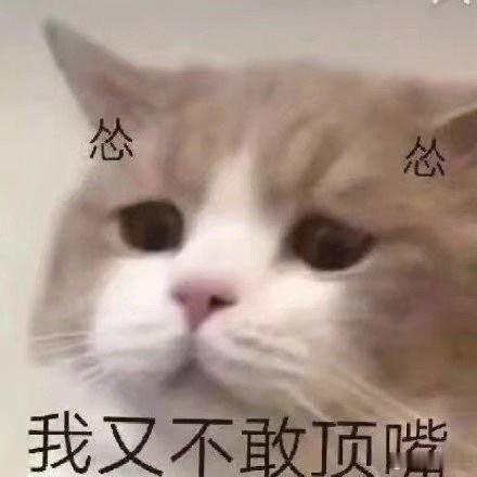 对帅有了新的认知真正的帅气早已不局限于皮囊。比起精致骨相五官，待人的修养、共情他