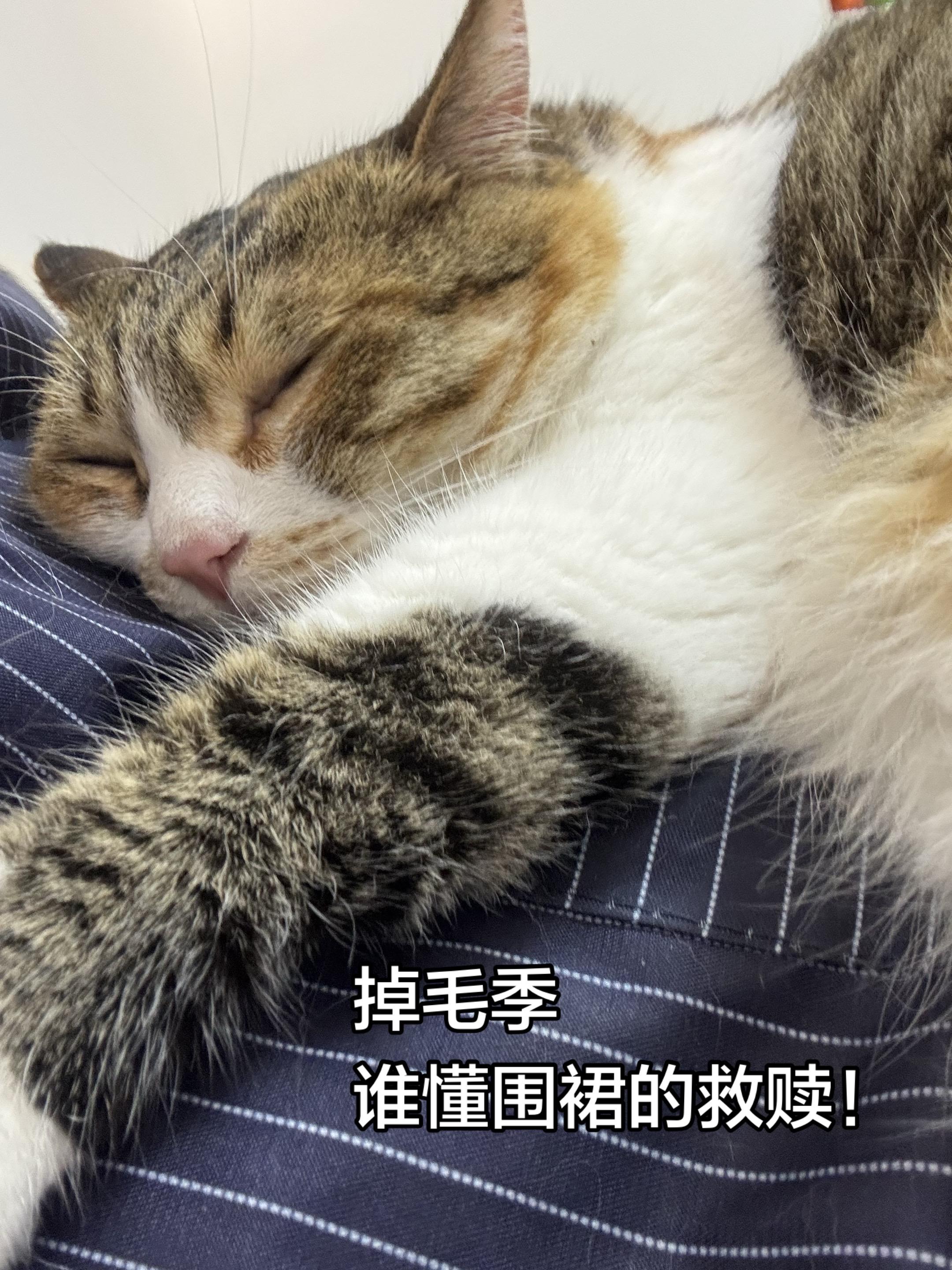完美规避了毛毛