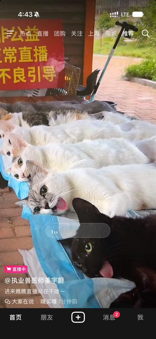 刷到给我吓一跳结果是给猫猫们做绝育