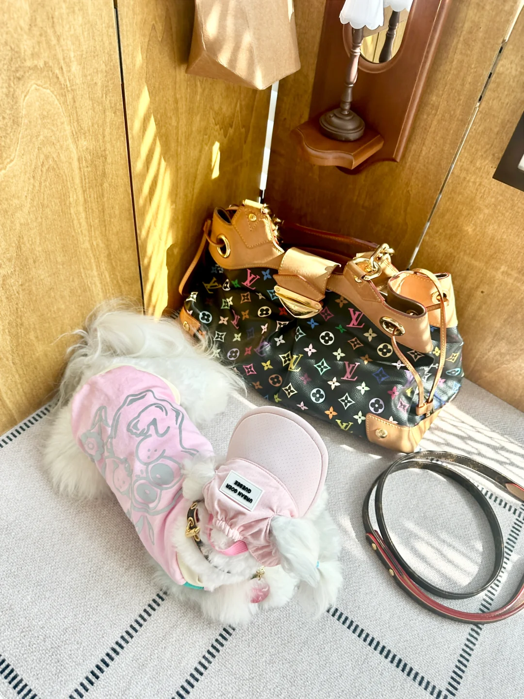 我是狗系的 不是狗东西！