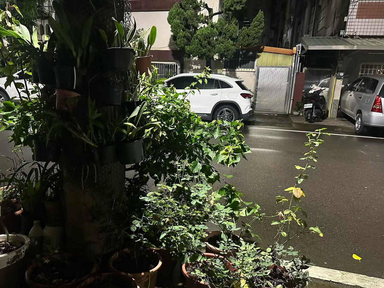 （随拍随言）
现在整个金华都在等2026年近半个世纪的17超级強台风，就像一个初