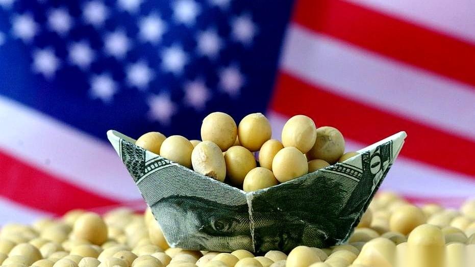 美国豆子，居然打骨折了。
你没听错，那个一直端着架子、标榜自己“蛋白高、品质好”