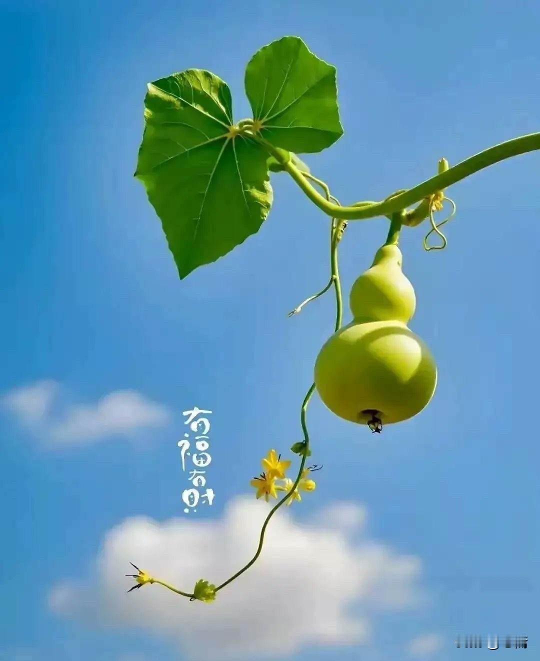 《被讨厌的勇气》里有一段话可以反复看：纵使被说坏话，被讨厌，也没什么好在意的，因