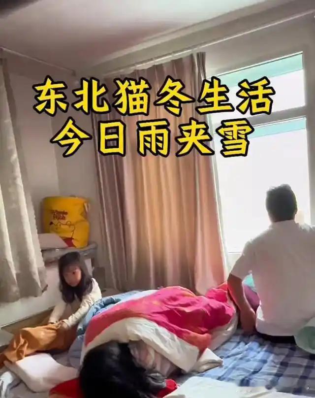 东北的猫冬，掐头去尾算仨月，天寒地冻的日子里，出门全靠勇气，在家基本瘫炕，按说这