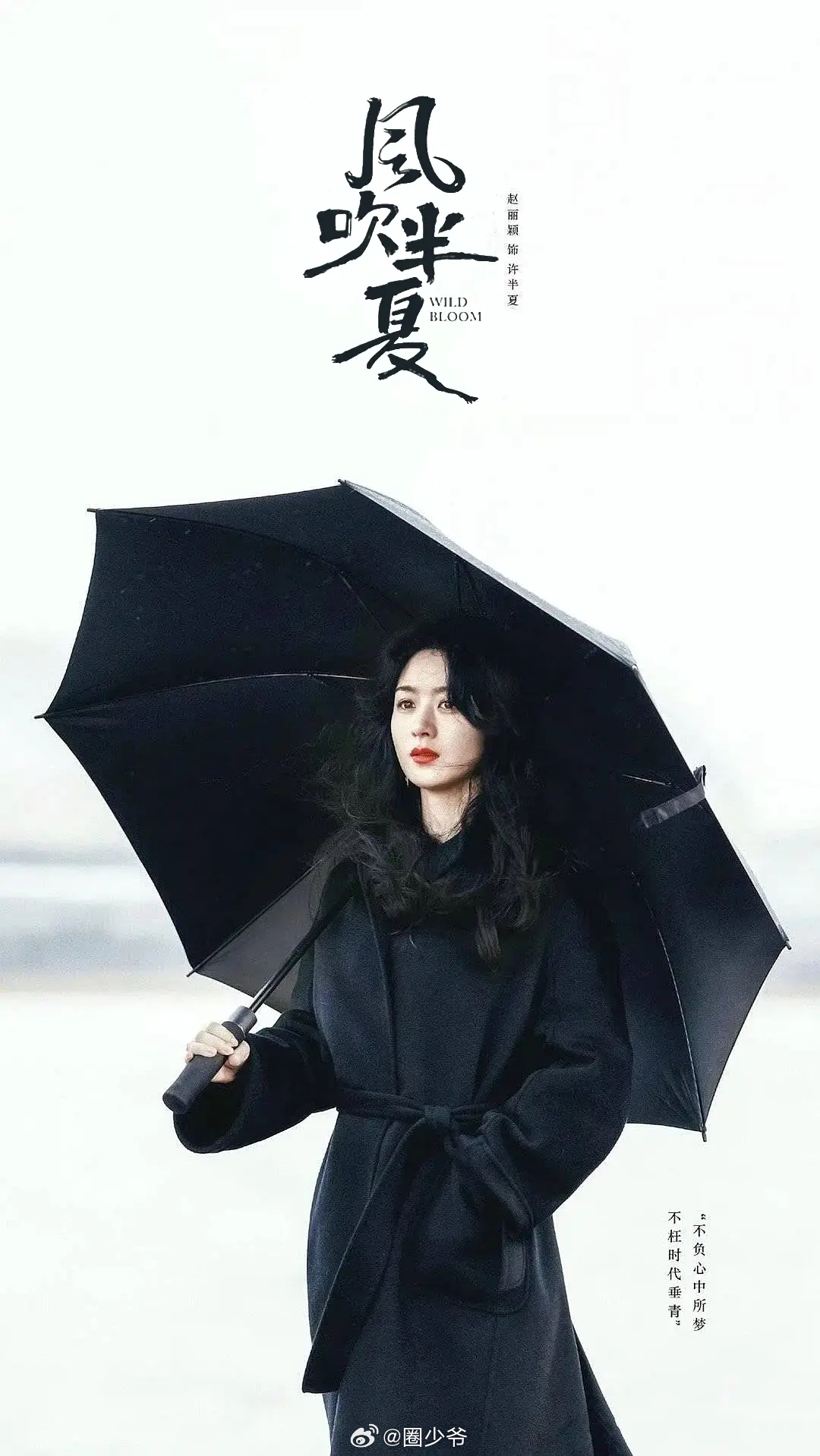 白玉兰已经连续5届提名了85花，至今颗粒无收。第27届倪妮《流金岁月》第28届赵