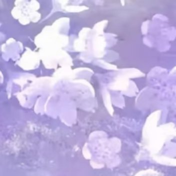 生活，需要一点阳光，生命，需要一些勇敢，纠结过去，担心未来，都不如抓住当下，过去