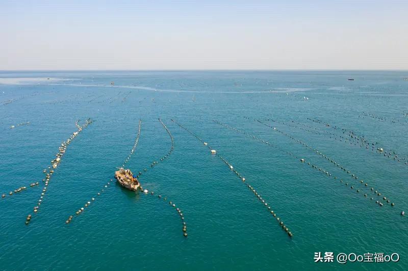 特朗普这是动作不断啊。之前他说能在1周内结束阿富汗战争，还称若想赢阿富汗会从地球