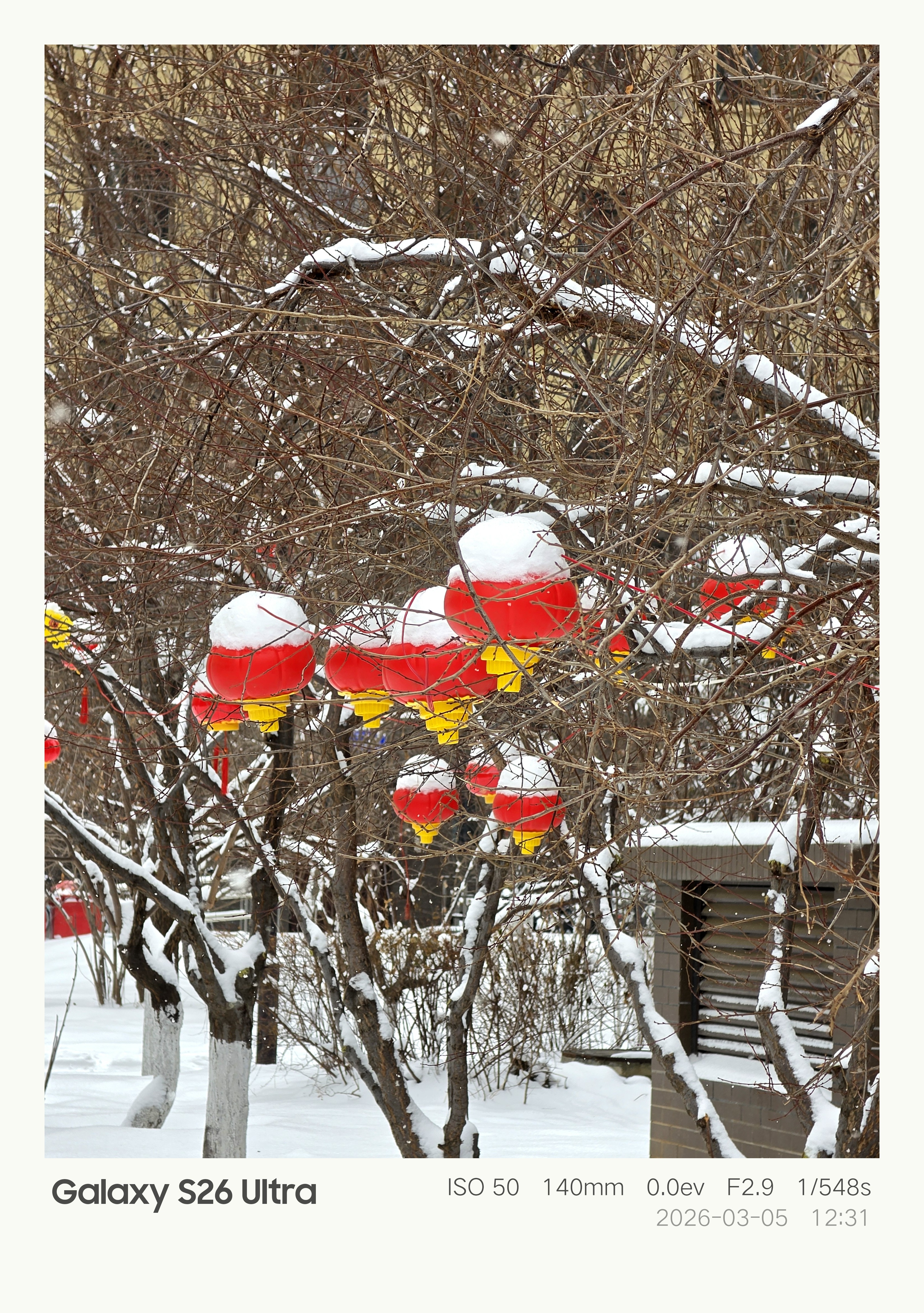 这场雪给每个灯笼都戴上一个白色的小帽子，好可爱呀！ 